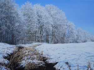 Werken met als thema sneeuw en ijs. Typische hollandse taferelen in rustige omgeving.