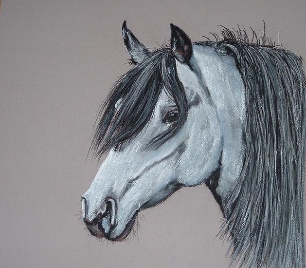 Keheilan (door en door zuiver bloed)