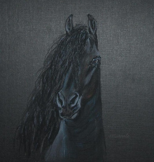 (12) Friesche Hengst