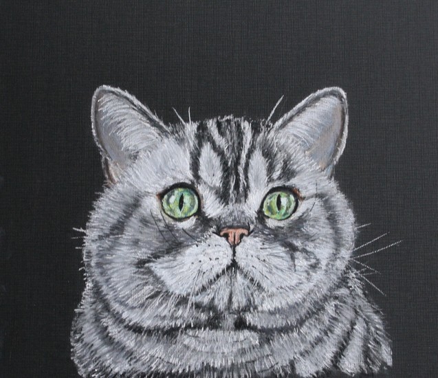 Brits Korthaar Silver Tabby (Silver Joker)