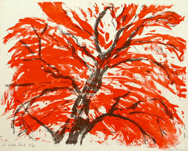 Red beech trees, grfic art, litho in color