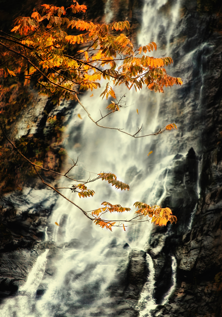 AUTUMN WATERFALL