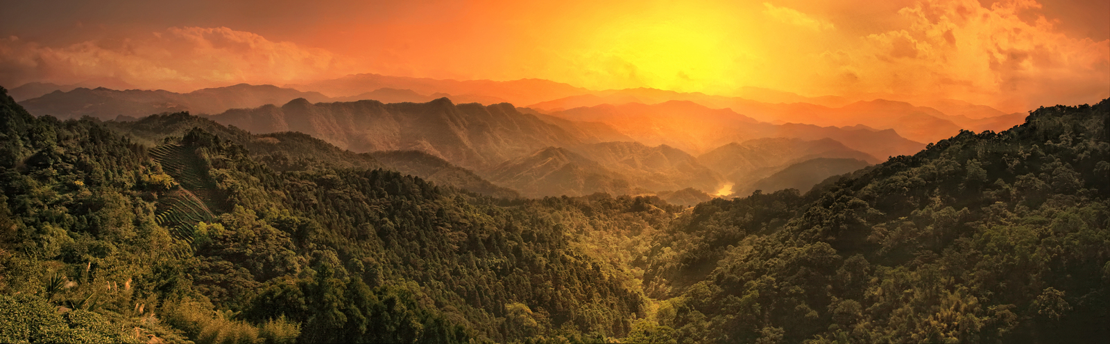 Tropical Paradise Sunset