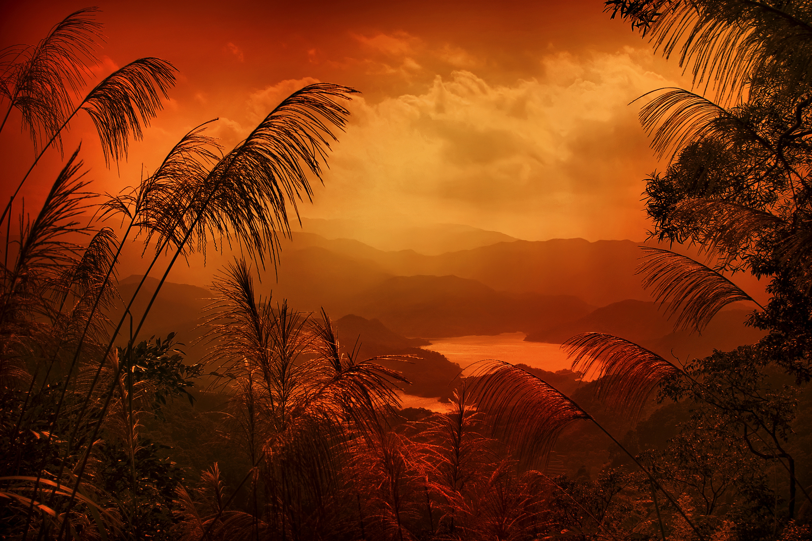 WINDOW TO THE TROPICAL PARADISE