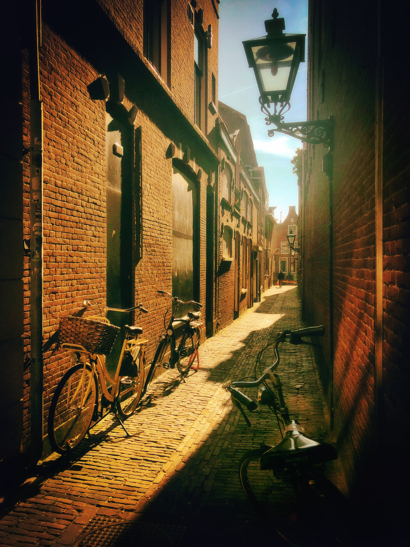 Small Sunny Street. Leiden, The Netherlands