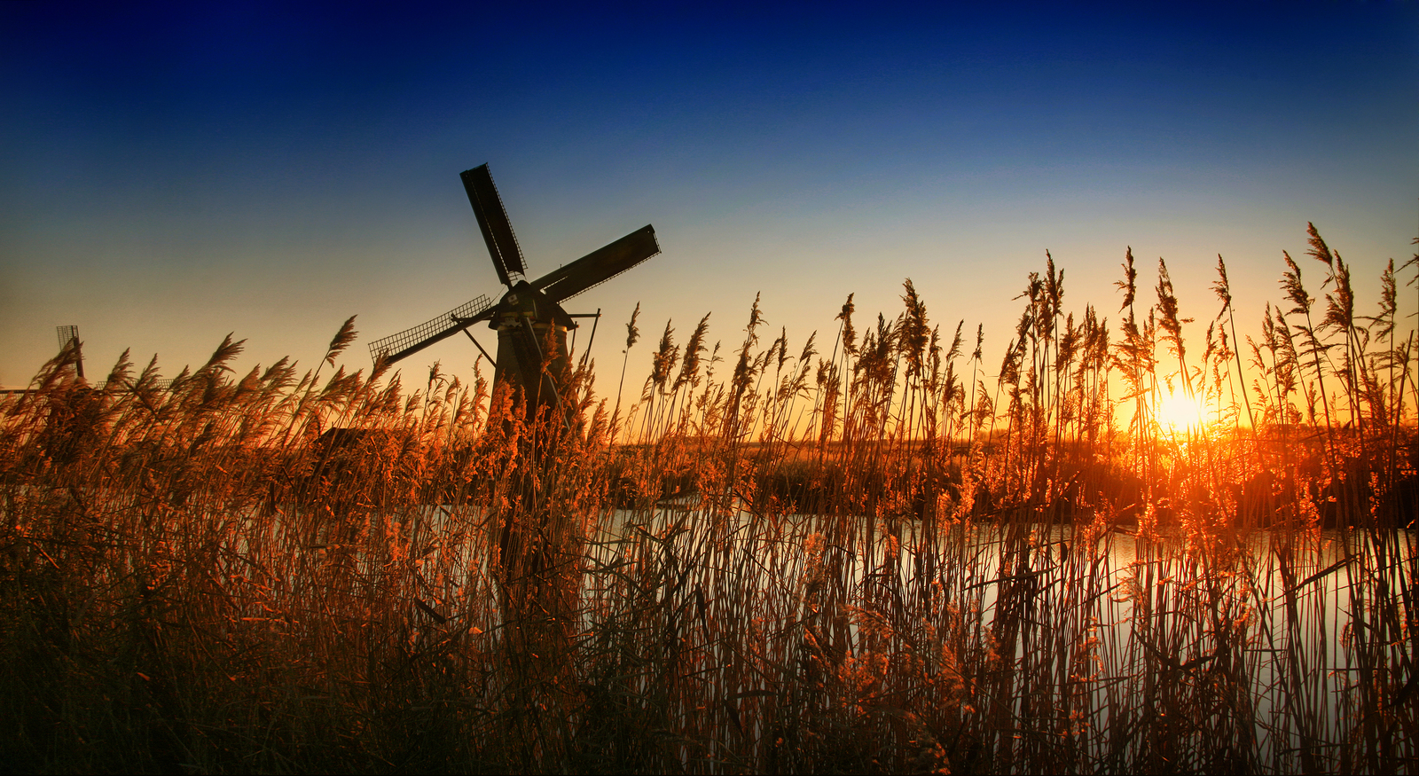 KINDERDIJK. SUNNY EVENING