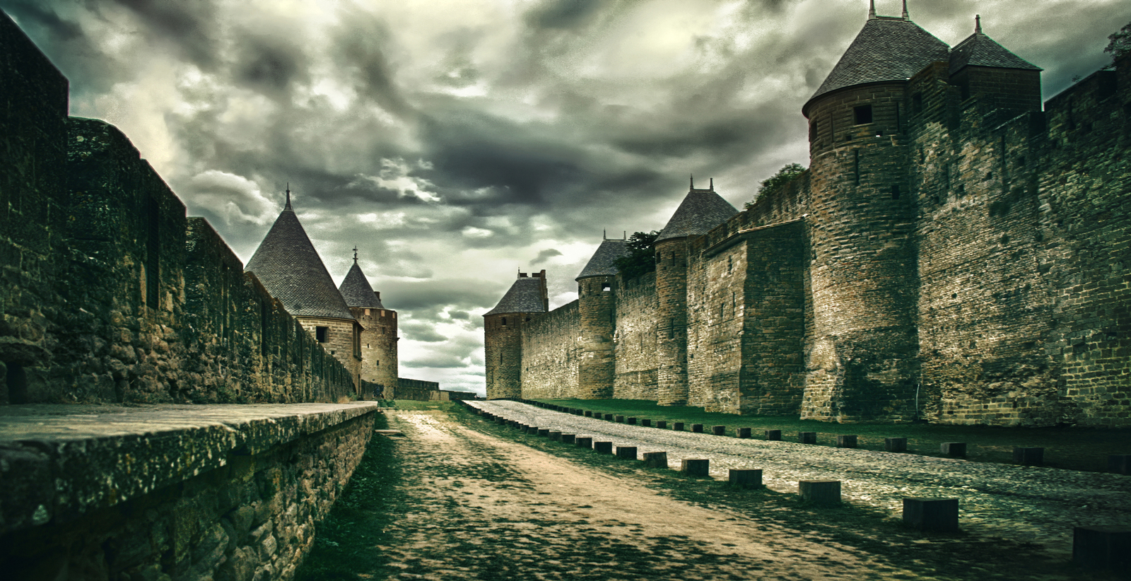 BIRDS FLY SOUTH (Cite de Carcassonne)