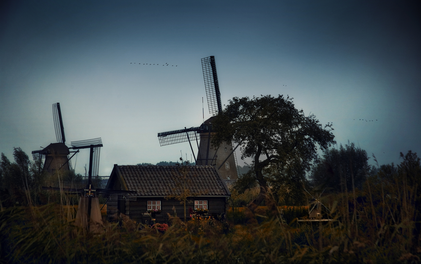 Kinderdijk. Birds fly south...