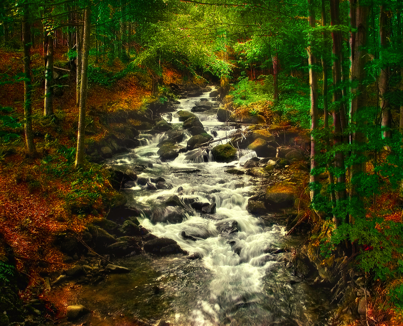 Small mountain river