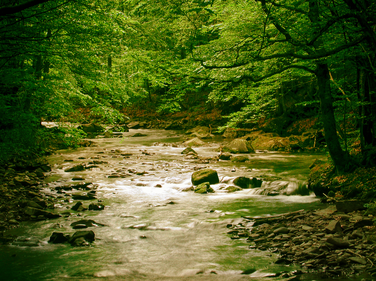 Small mountain river (2)