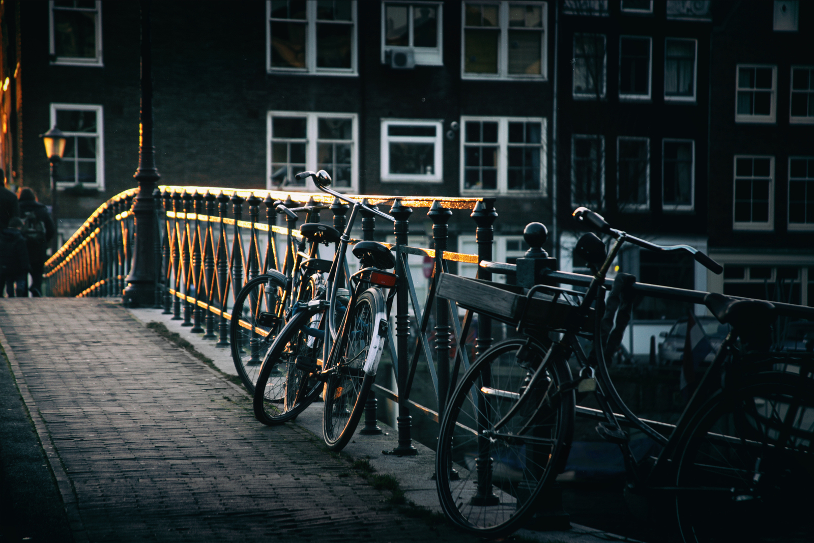 Amsterdam. Golden Evening.