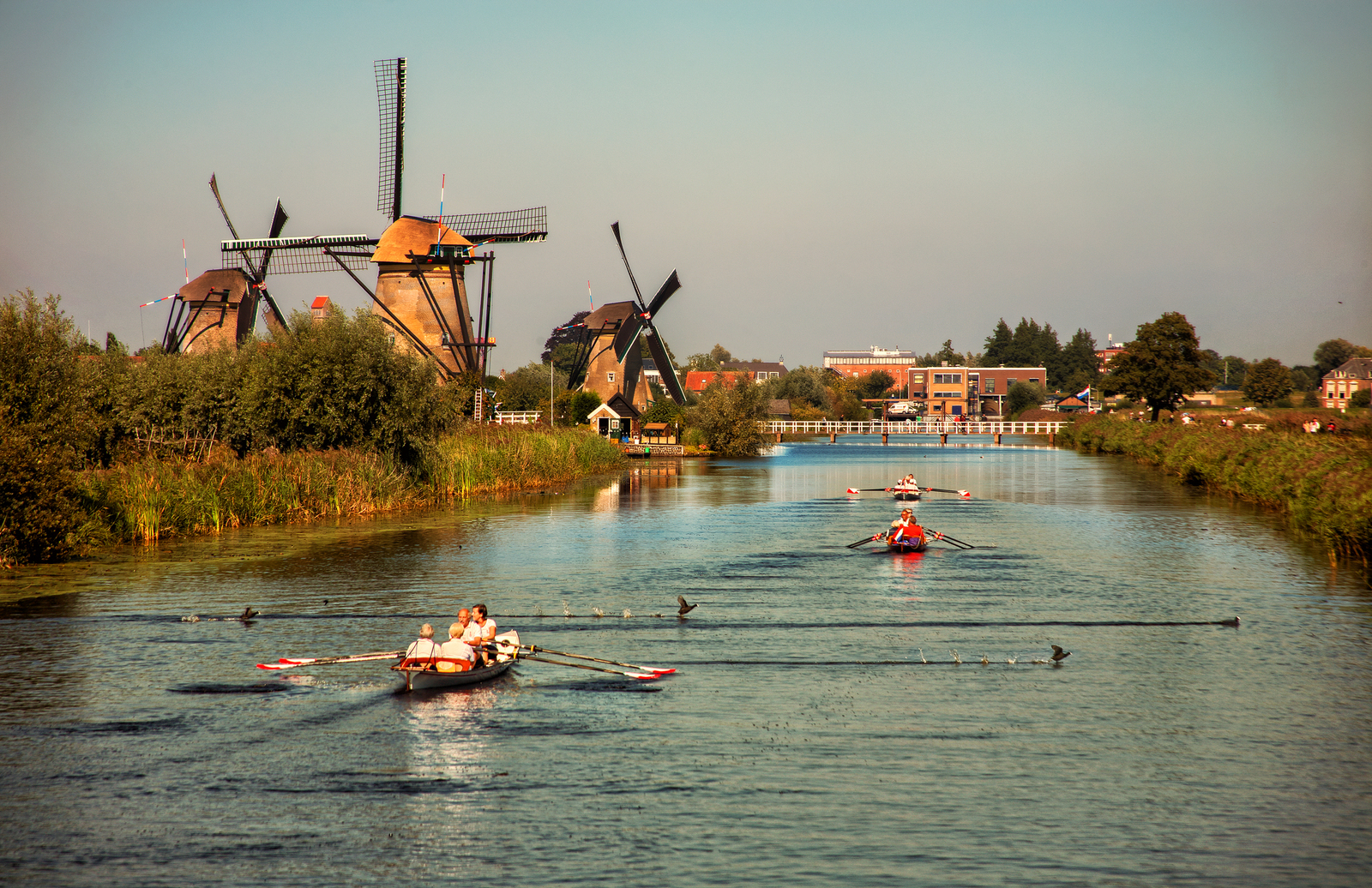 Kinderdijk. Ducks, boats and mills.  Friday noon