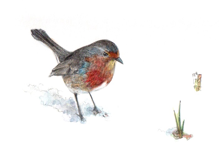 Waiting for crocuses