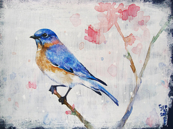 Bluebird I
