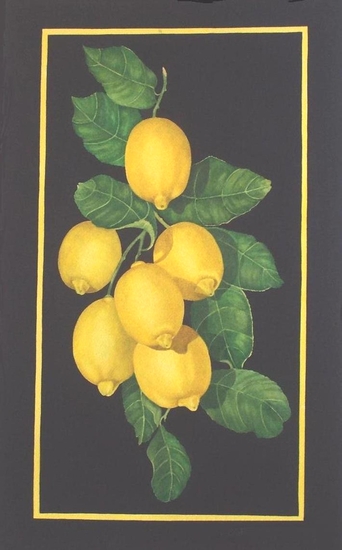 Mandarine and Lemon Suite