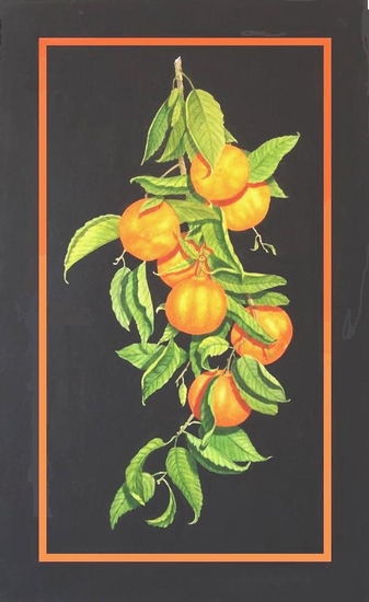 Mandarine and Lemon Suite