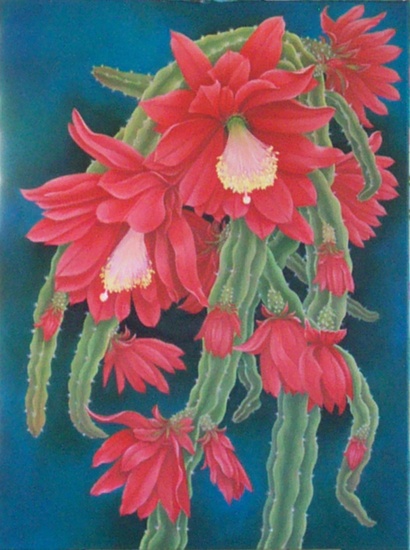 Red Cactus Flowers