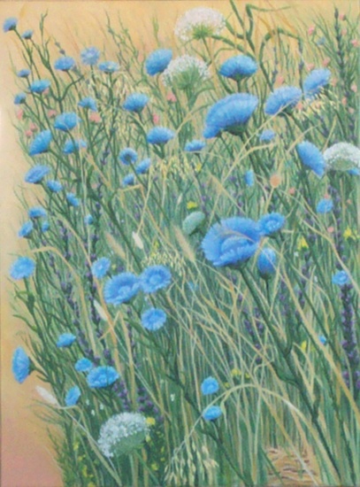 Wild Chickory and Weeds