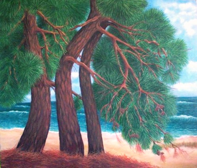 Pines at Psili Ammos