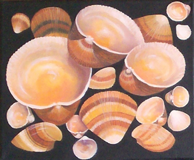 Cockle Shell Dyptic