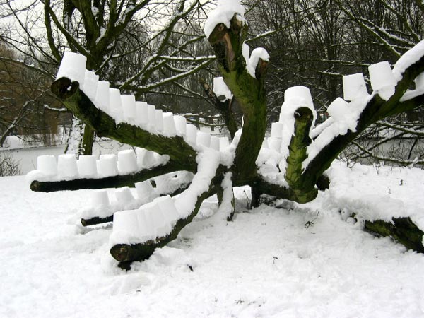 Rembrandt park1
