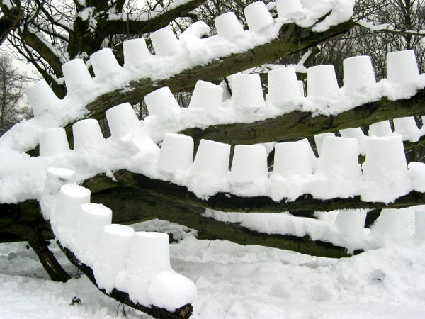 rembrandt park1