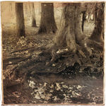 Natuur roept bij mij vaak een gevoel van verwondering op. Dat probeer ik weer te geven in mijn werk.