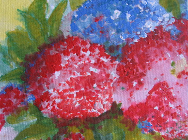 hortensia in aquarel