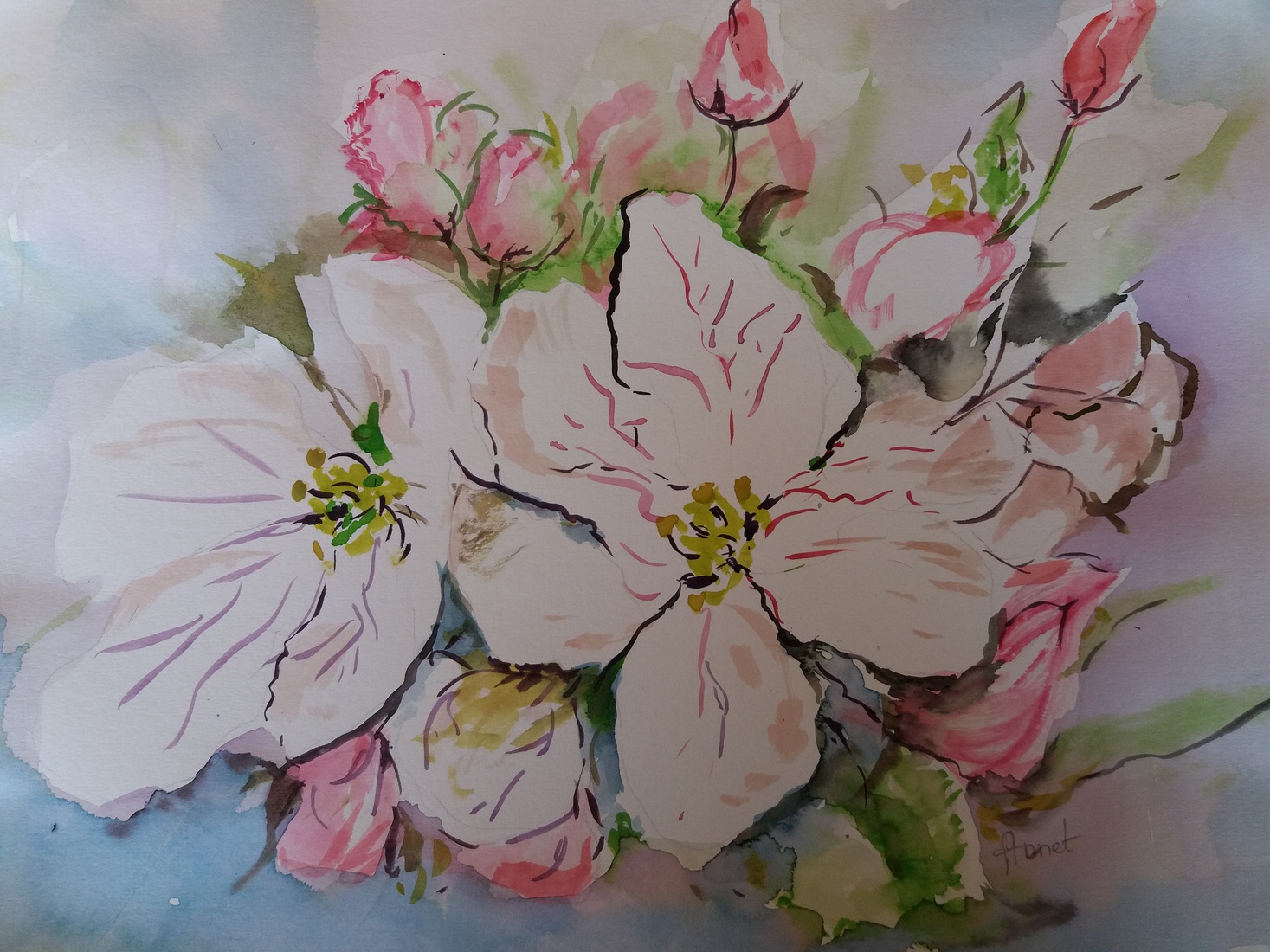 Appelbloesem voorjaar