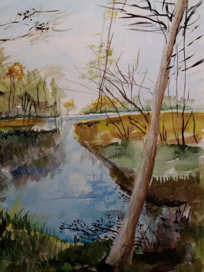 Bosgezicht met water