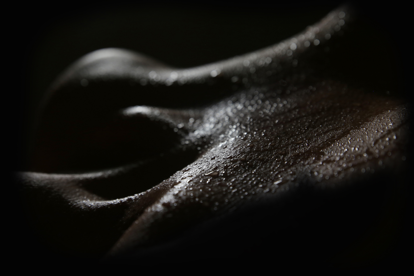 Waterscape (waterlandschap) 9