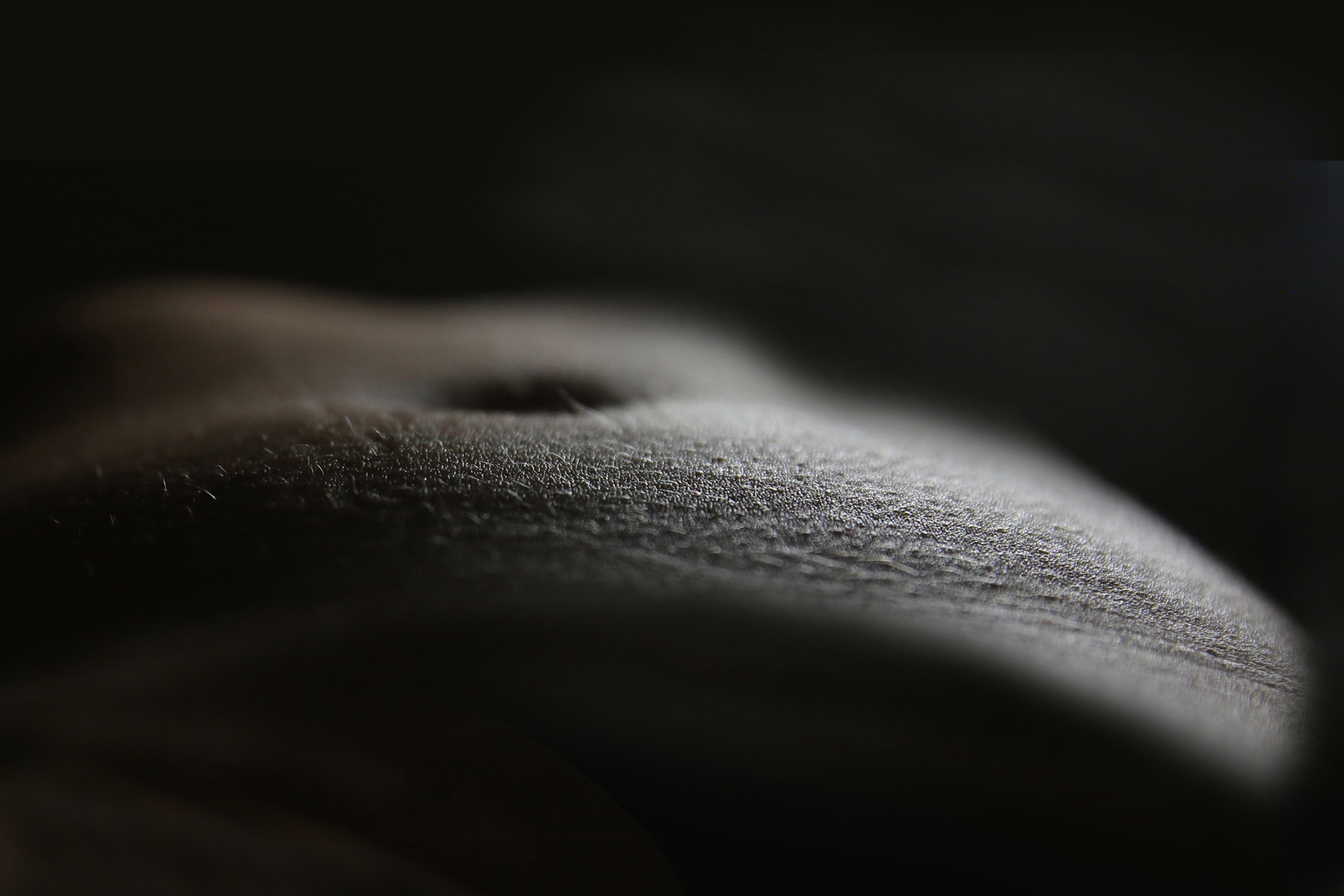 Bodyscape 2C