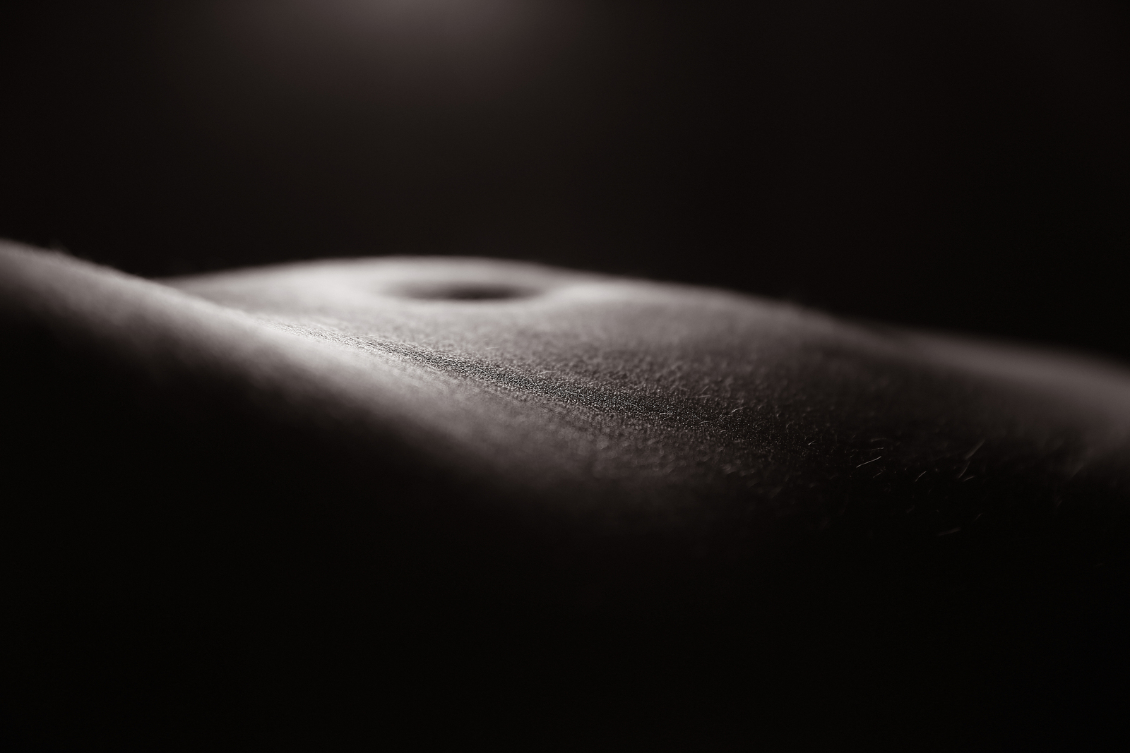 Bodyscape 2F