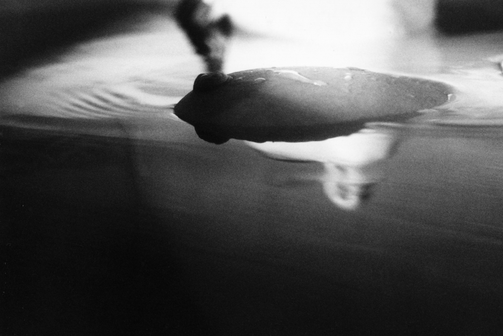 Exclusieve serie: water als troost 7
