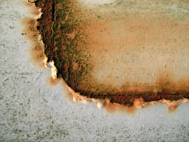 Burnt Edge