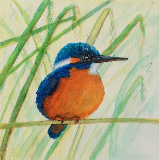 Eiske het ijsvogeltje