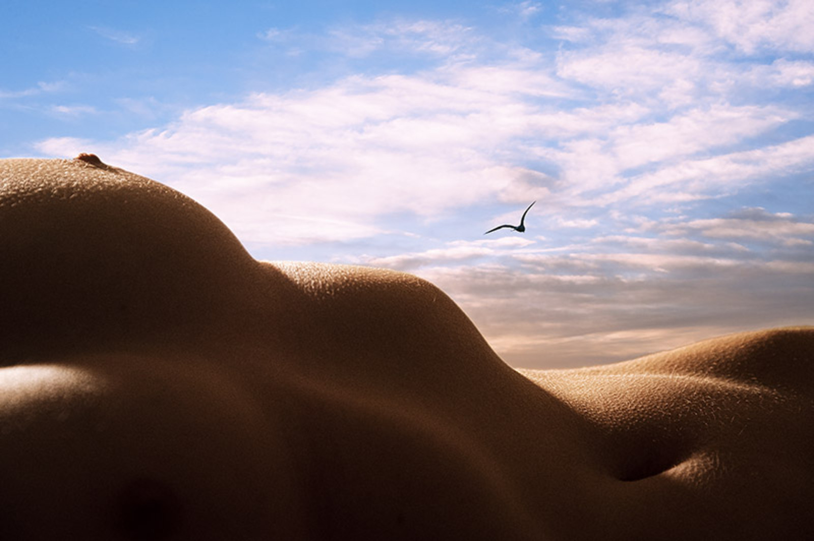 Bodyscapes #37