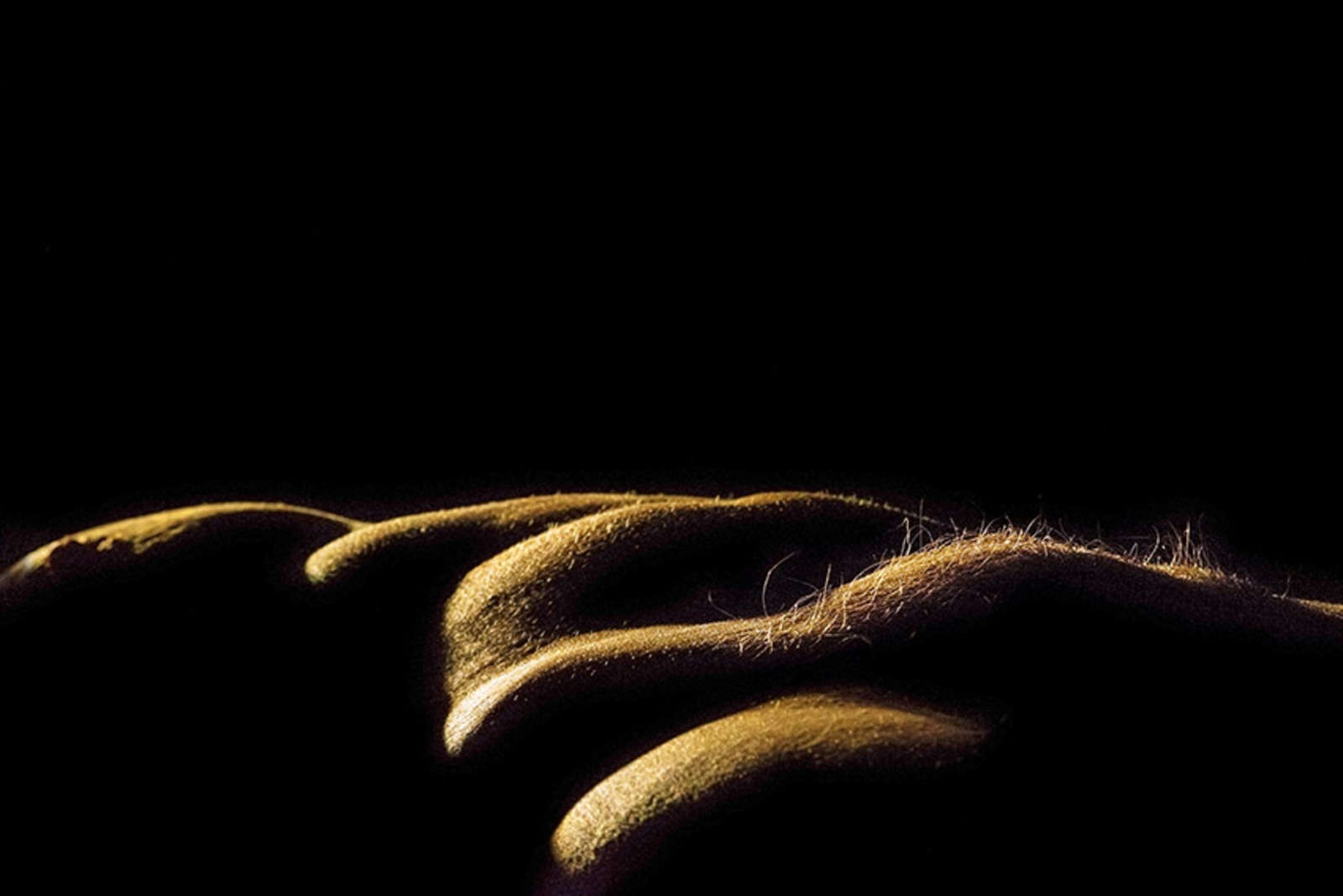 Body-scape Win157