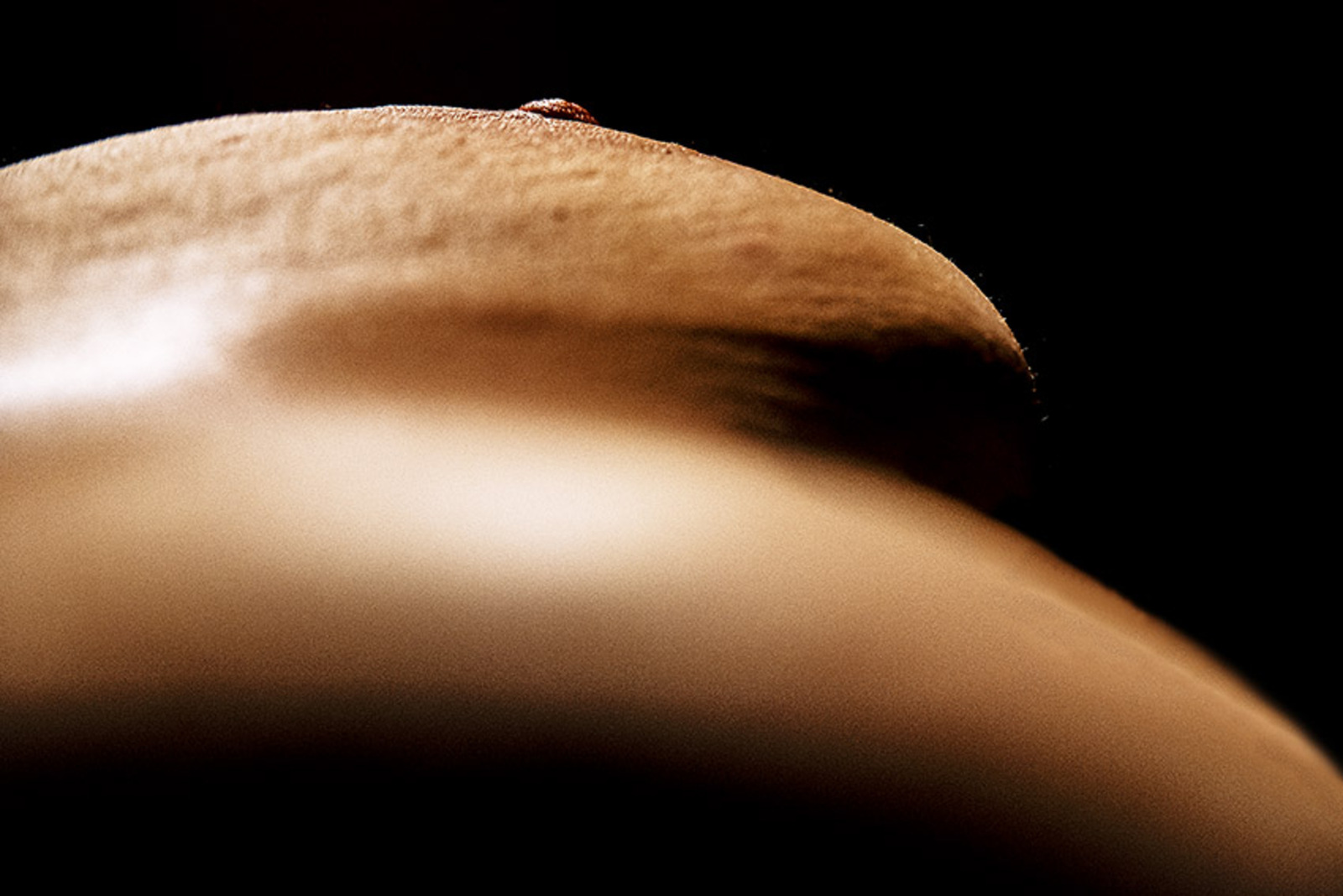 Bodyscapes Sjoe69