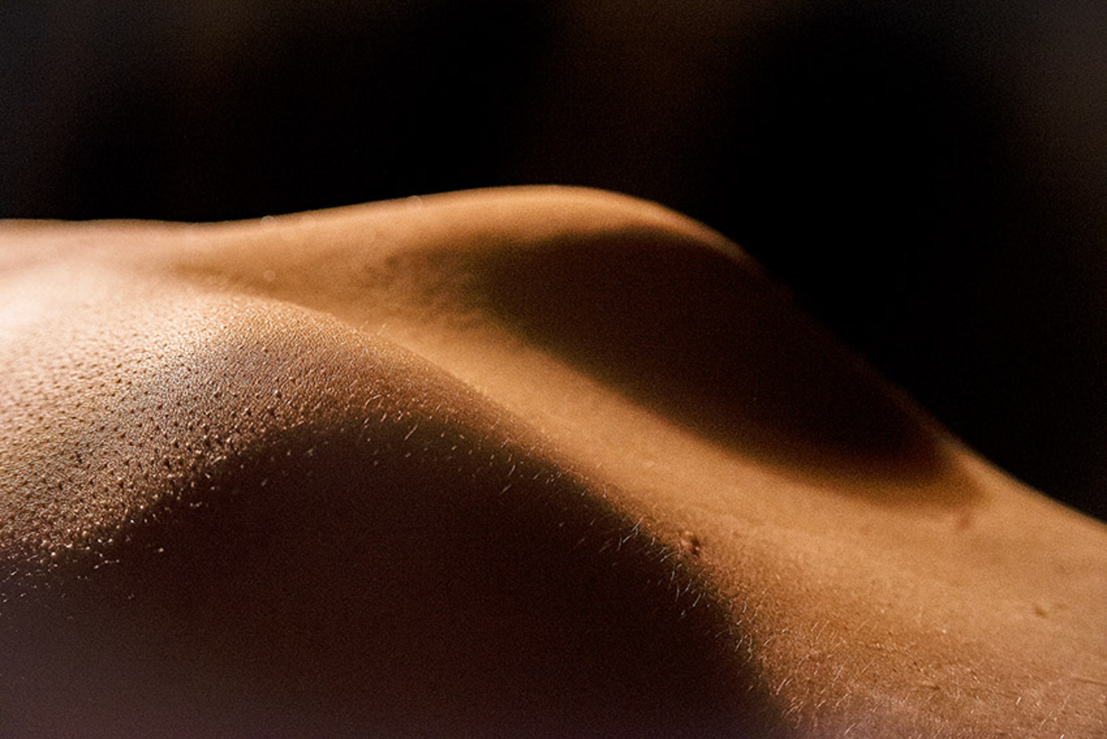 Body-scape Sjoe71