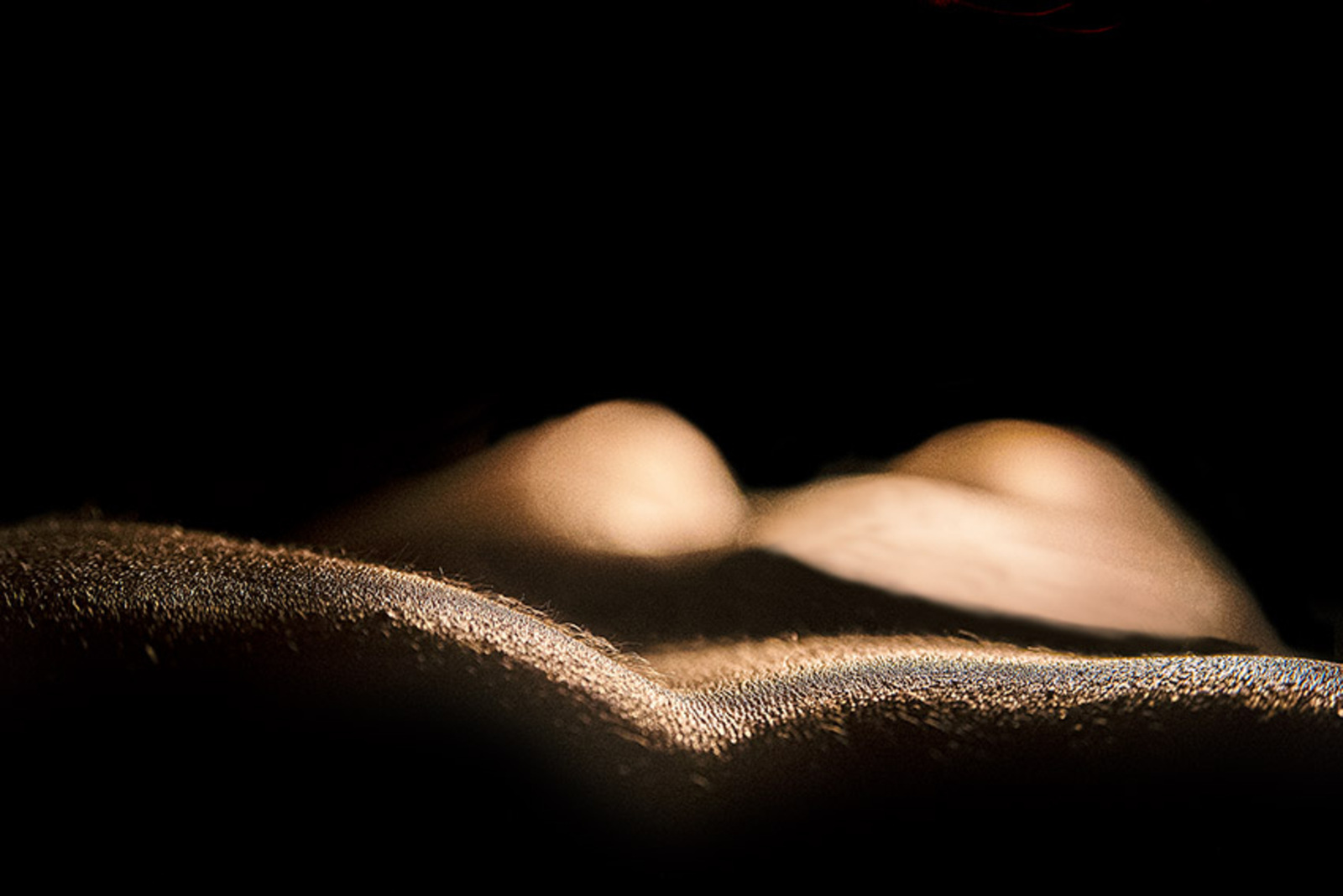 Body-scape Sjoe53