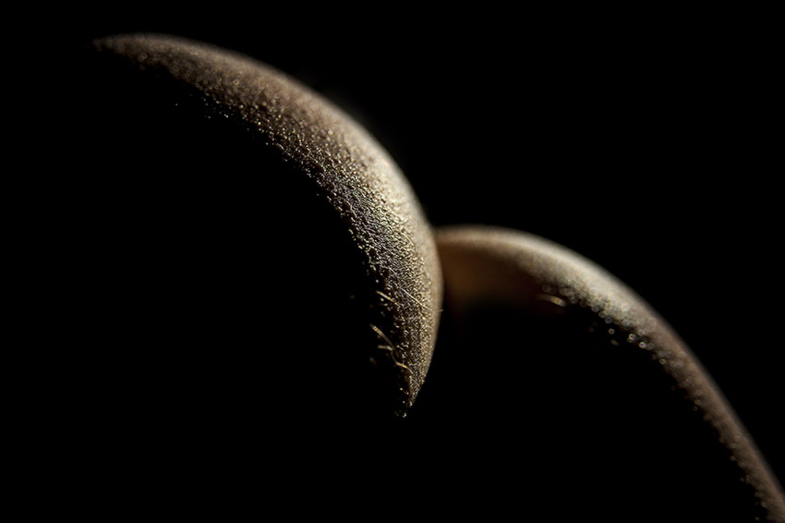 Body-scape An51