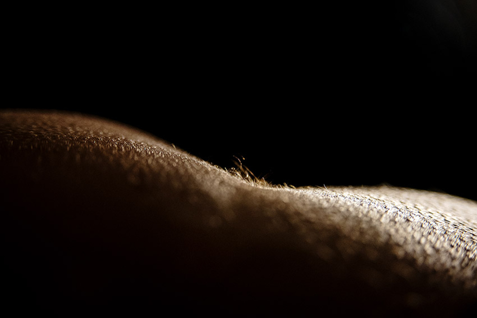 Body-scape Stef68