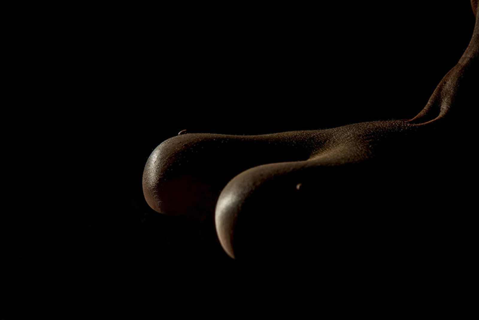 Bodyscapes Anjl134