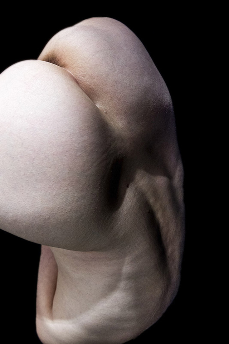 Body-face Anjl232