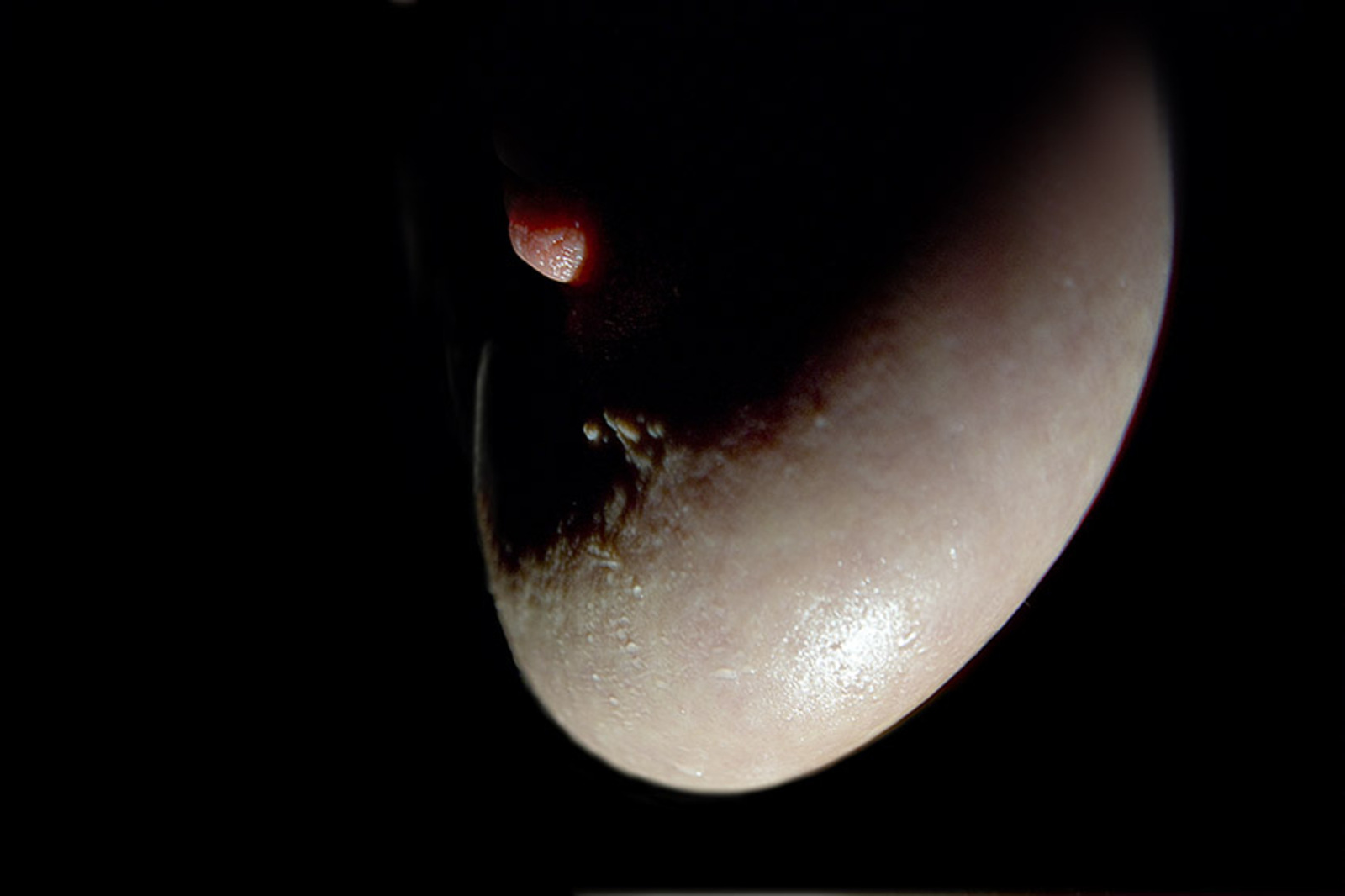 Body-scape Anjl132