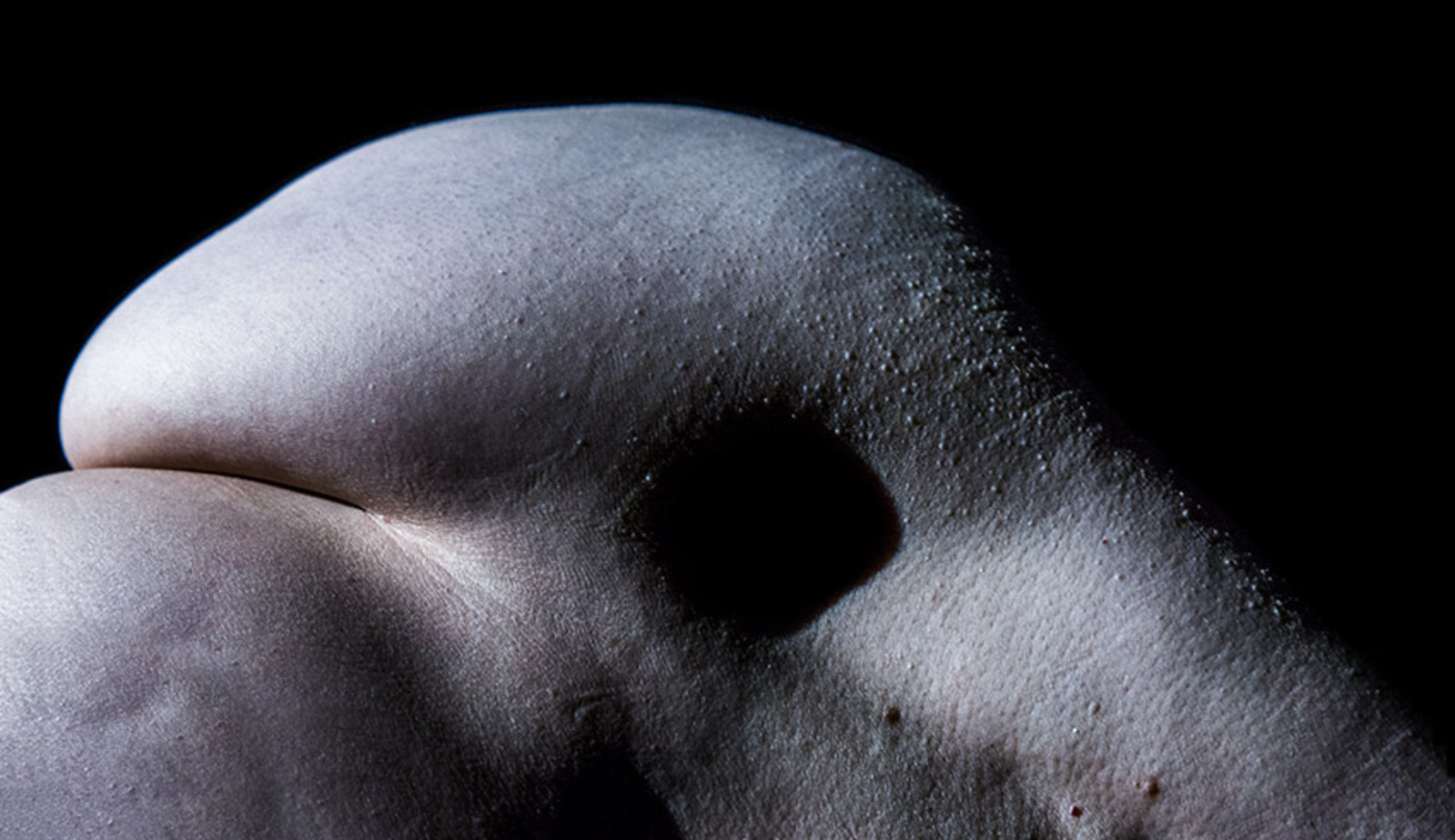 Body-face Anjl56