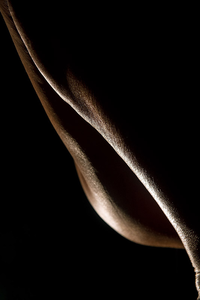 Verder fotografische onderzoek met silhouetten en lijnen a.d.h.v. het vrouwelijk naakt