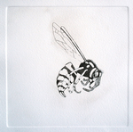 Etsen, zeefdrukken, linosnede