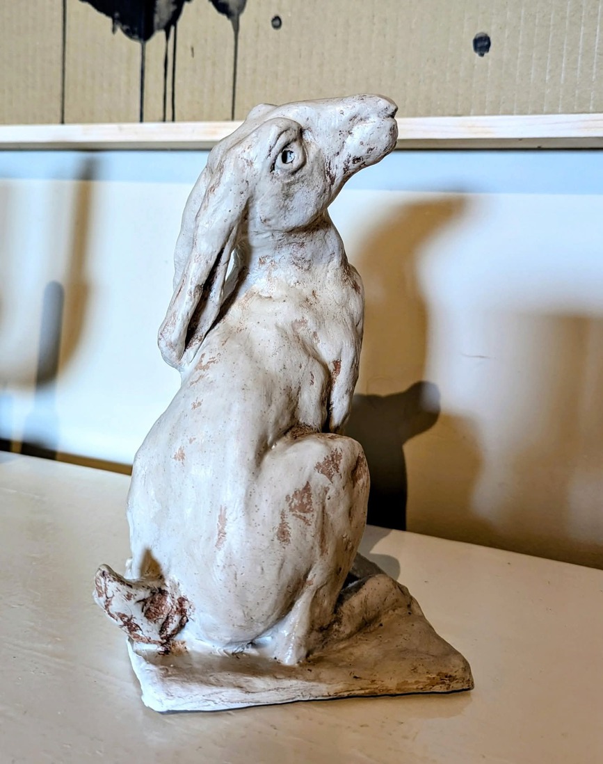 Haasje
